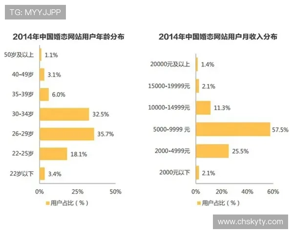 探寻开云体育官方网站网址的使用体验与优势剖析
